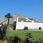 Parc Phoenix à Nice cet été 2026 : horaires, accès et visite en famille La grande serre pyramidale du Parc Phoenix entourée de palmiers et de jardins fleuris.